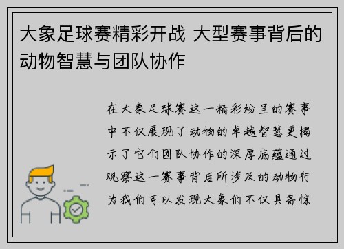 大象足球赛精彩开战 大型赛事背后的动物智慧与团队协作